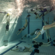 Illustration for article titled Why is underwater rugby the new generation of water sports, and where should you try it?
